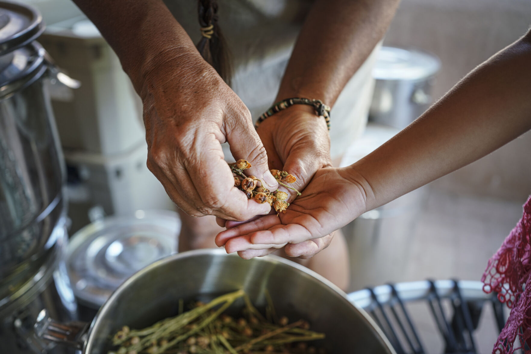 072921_Seedbank07.jpg